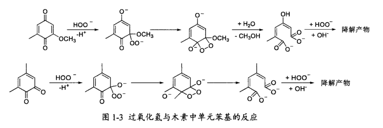 圖片文字說明