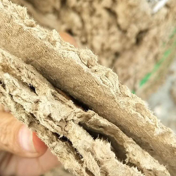 圖片文字說明