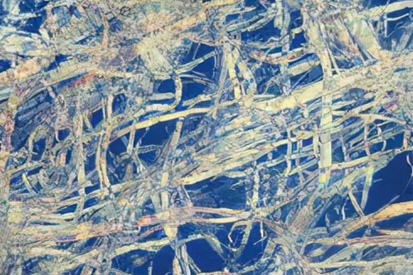 為什么有些紙張有洇水現象？如何防止紙張的洇水現象？