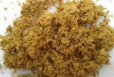 竹漿雜細胞含量對打漿過程纖維形態的影響
