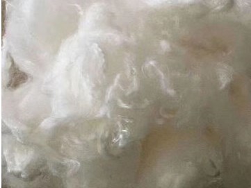 什么是溶解漿？