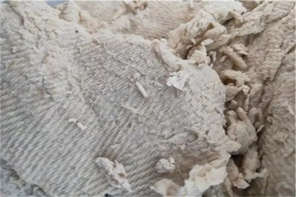什么是紙漿？未來發(fā)展前景如何？